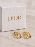 Σκουλαρίκια Dior